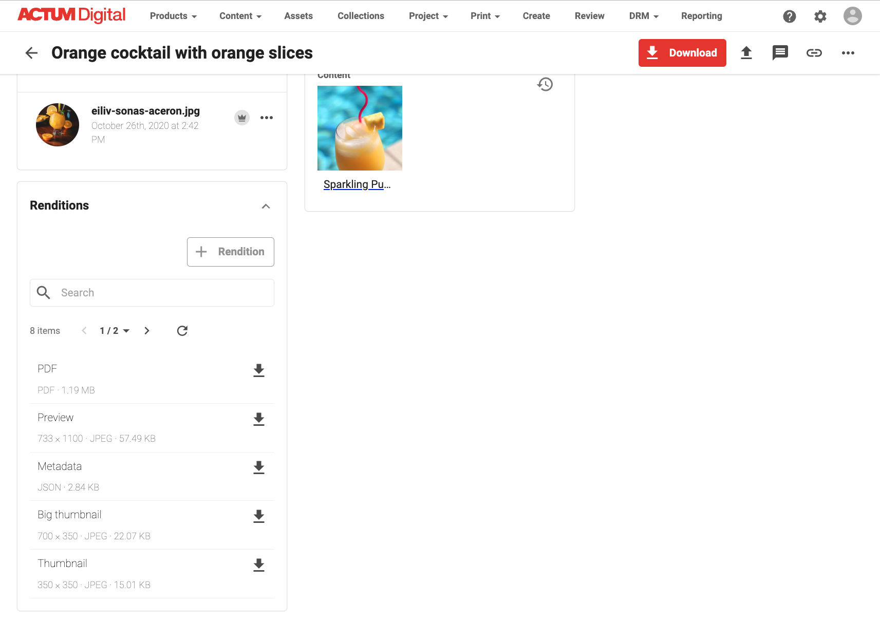 Sitecore Content Hub Renditions