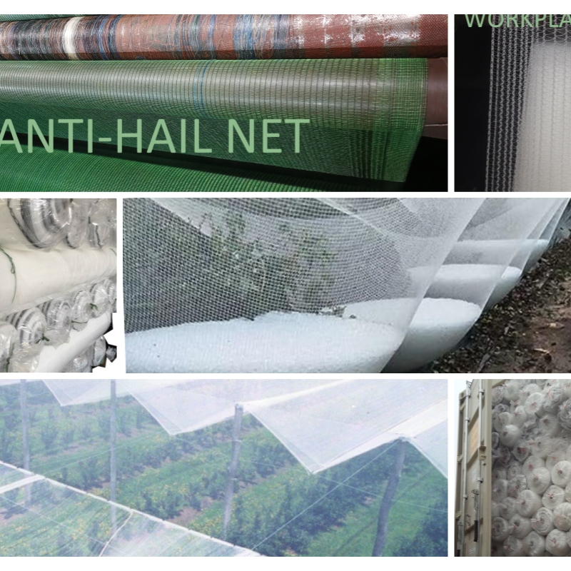 anti hail nets.jpg